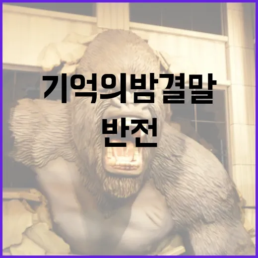 기억의밤 결말이 아직도 헷갈리시나요? 반전 순서대로 보면 딱 보입니다 - 요약