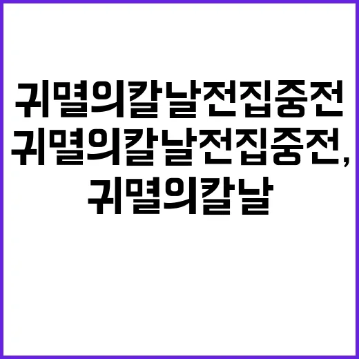 귀멸의칼날 전집중전, 지금 팬들이 왜 다시 찾고 계신가요? - 요약