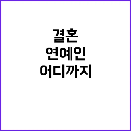 연예인 결혼 소식, 어디까지 믿고 계신가요? - 요약