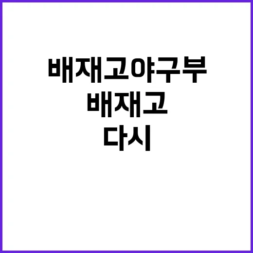 배재고 야구부가 왜 다시 눈에 들어오고 있나요? - 요약