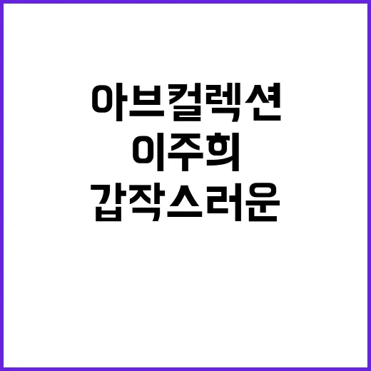 이주희 아브컬렉션 소식, 갑작스러운 비보가 왜 이렇게 크게 번졌을까요? - 요약