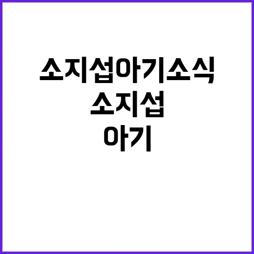 소지섭 아기 소식, 지금 확인된 게 있나요? - 요약