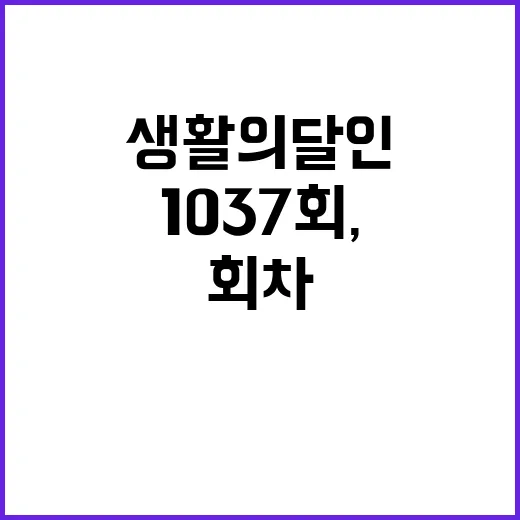 생활의 달인 1037회, 이번 회차에서 먼저 봐야 할 포인트가 궁금하신가요? - 요약