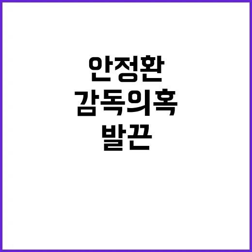 안정환 감독 의혹에 왜 그렇게 발끈했을까요? - 요약