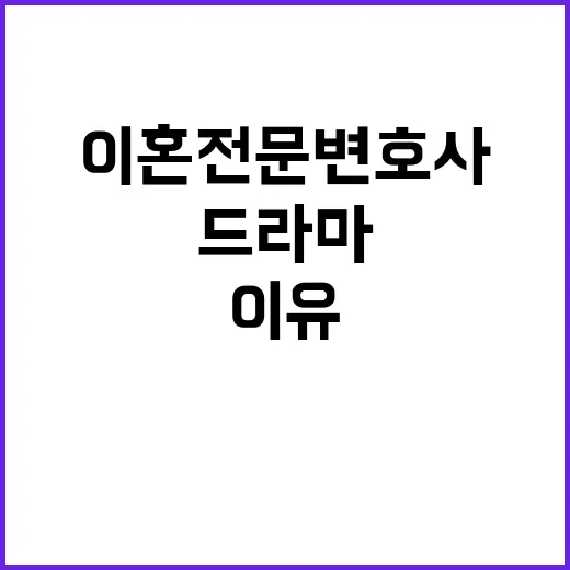 이혼전문변호사 캐릭터가 K-드라마에서 자꾸 보이는 이유가 궁금하신가요? - 요약