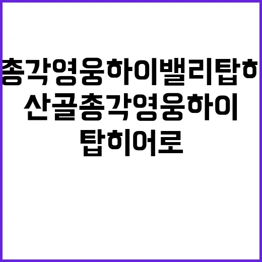 산골총각영웅하이밸리탑히어로 기본정보, 지금 확인된 내용이 궁금하신가요? - 요약