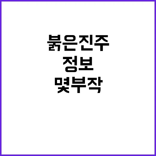 붉은진주 몇부작인지 궁금하신가요? 공식 정보 기준으로 어디까지 확인됐을까요? - 요약
