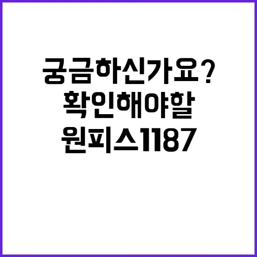 원피스 1187, 스포보다 먼저 확인해야 할 포인트가 궁금하신가요? - 요약