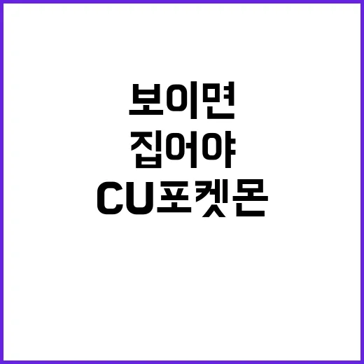 CU 포켓몬 아이스크림, 왜 보이면 바로 집어야 할까요? - 요약