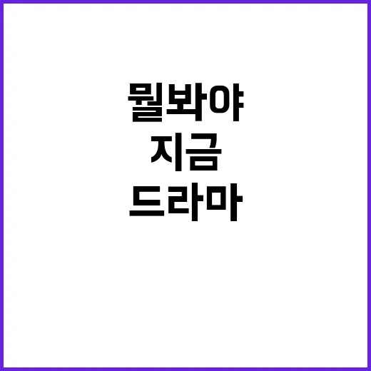 드라마추천, 지금 뭘 봐야 덕질이 밀리지 않을까요? - 요약