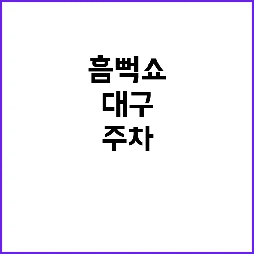 대구 흠뻑쇼 주차, 자차로 가도 괜찮을까요? - 요약
