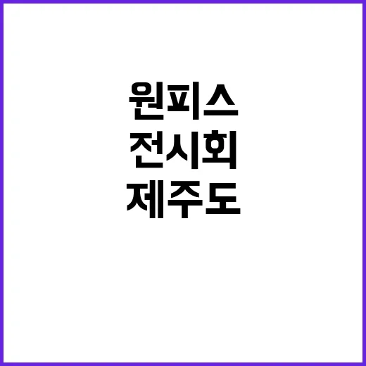 제주도 원피스 전시회, 진짜 열리는 건지 궁금하신가요? - 요약
