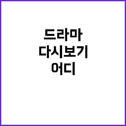 드라마다시보기 어디서 보는 게 가장 편할까요? - 요약