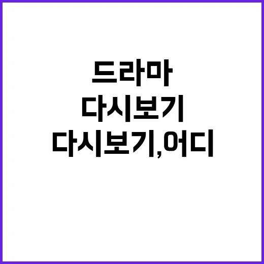 드라마다시보기, 어디서 봐야 안전하고 편할까요? - 요약