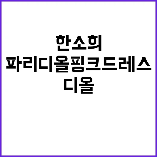 한소희 파리 디올 핑크 드레스, 왜 계속 헷갈릴까요? - 요약