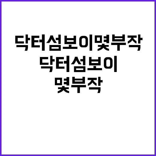 닥터 섬보이 몇부작인지 헷갈리셨나요? 공식 정보 기준으로 보면 답은 이겁니다 - 요약