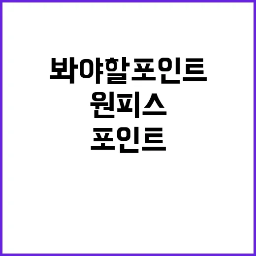 원피스 1188, 지금 봐야 할 포인트가 뭘까요? - 요약