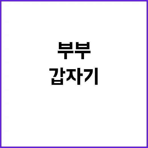 용숙부부, 왜 갑자기 검색어에 자주 보일까요? - 요약
