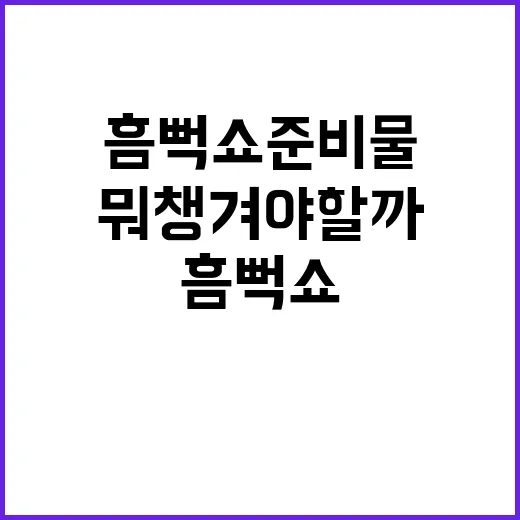 흠뻑쇼 준비물, 물 맞고도 멀쩡히 즐기려면 뭐 챙겨야 할까요? - 요약