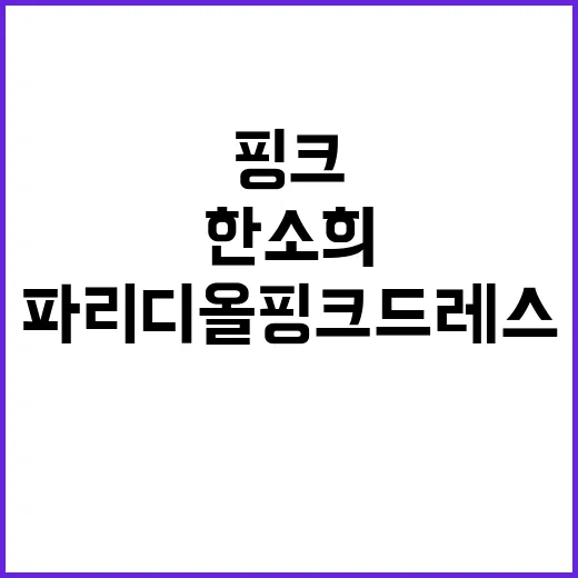 한소희 파리 디올 핑크 드레스, 왜 이렇게 시선이 몰렸을까요? - 요약