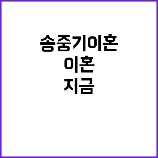 송중기 이혼, 지금 다시 왜 궁금해졌나요? - 요약