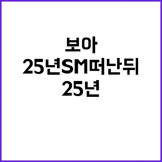 보아, 25년 SM 떠난 뒤 어떤 일상을 보내고 있을까요? - 요약