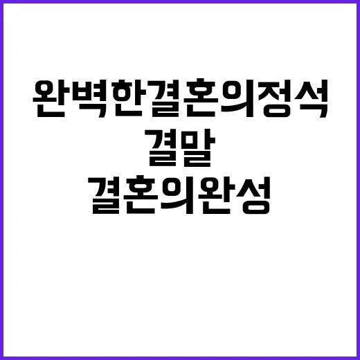 결혼의 완성 결말이 궁금하신가요? 사실은 완벽한 결혼의 정석 결말입니다 - 요약