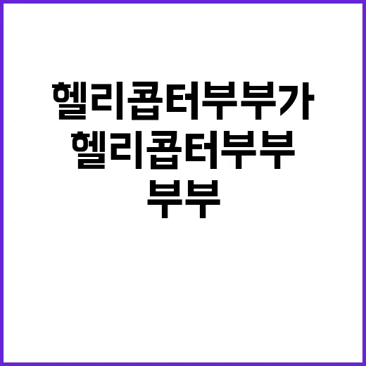 헬리콥터부부가 왜 갑자기 궁금해졌을까요? - 요약