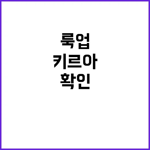 키르아 룩업 찾고 계신가요? 공식 발매 확인 전 체크할 포인트는요? - 요약