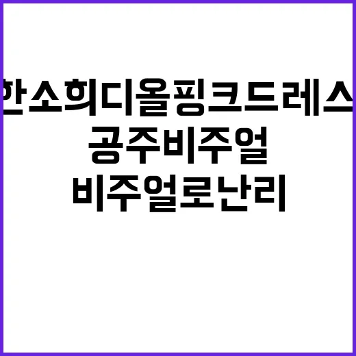 한소희 디올 핑크 드레스, 왜 공주 비주얼로 난리인가요? - 요약