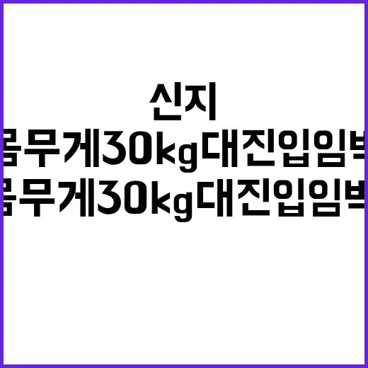 신지 몸무게 30kg대 진입 임박, 실제로 확인된 건 어디까지일까요? - 요약