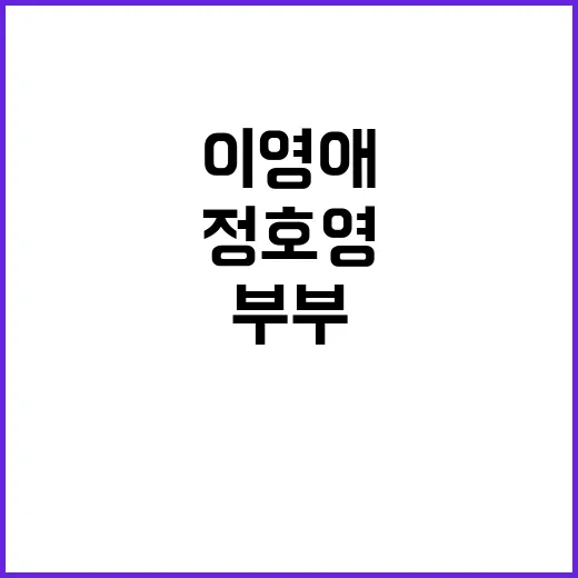 정호영 이영애 부부, 왜 아직도 검색이 많을까요? - 요약