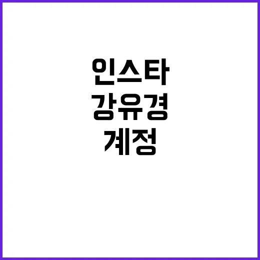 강유경 인스타, 공식 계정은 어디서 확인해야 할까요? - 요약