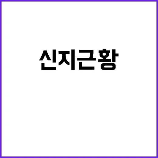 신지 근황이 왜 계속 화제일까요? - 요약