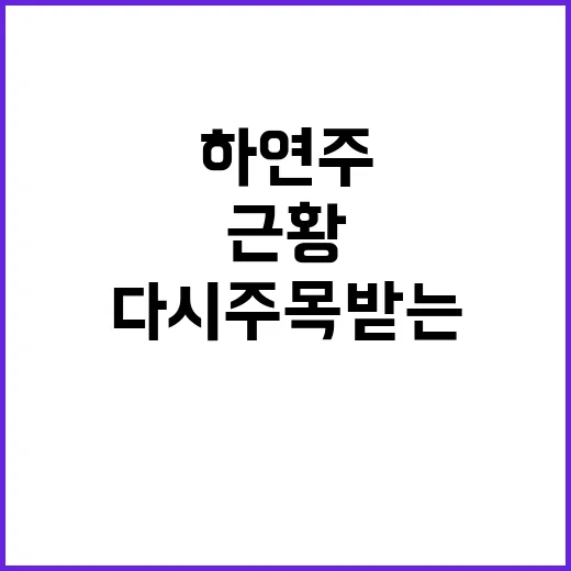 하연주 근황이 궁금하신가요? ‘피도 눈물도 없이’ 이후 다시 주목받는 이유는? - 요약