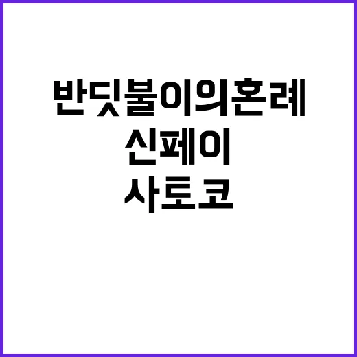 반딧불이의 혼례 결말, 사토코와 신페이는 결국 행복해졌을까요? - 요약