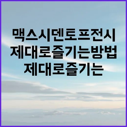 맥스 시덴토프 전시를 제대로 즐기는 방법 - 요약