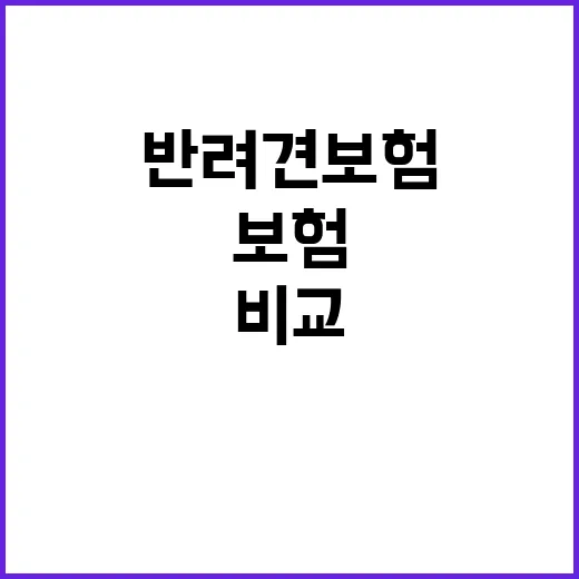 반려견보험 처음 고를 때 이렇게 비교하는 방법 - 요약