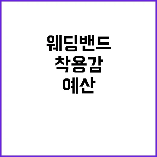 웨딩밴드 고르는 방법, 예산부터 착용감까지 초보자가 놓치기 쉬운 것들 - 요약