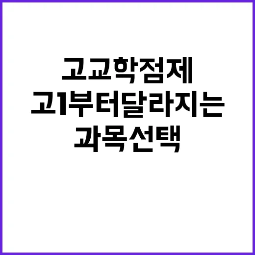 고교학점제 준비하는 방법, 고1부터 달라지는 과목 선택 제대로 잡기 - 요약