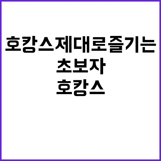 초보자를 위한 호캉스 제대로 즐기는 방법 - 요약