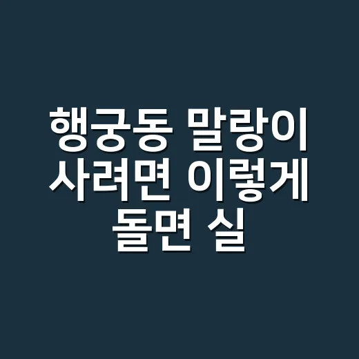 행궁동 말랑이 사려면 이렇게 돌면 실패가 적어요 - 요약