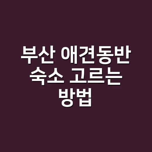 부산 애견동반 숙소 고르는 방법, 위치부터 규정까지 이렇게 체크하면 편해요 - 요약