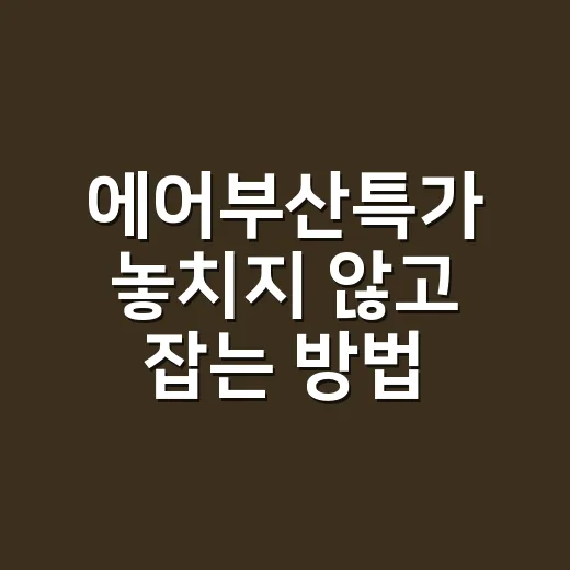 에어부산특가 놓치지 않고 잡는 방법, 초보자는 이렇게 준비하면 편해요 - 요약