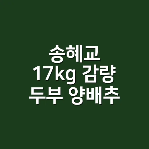 송혜교 17kg 감량 두부 양배추 샐러드 만드는 방법 - 요약