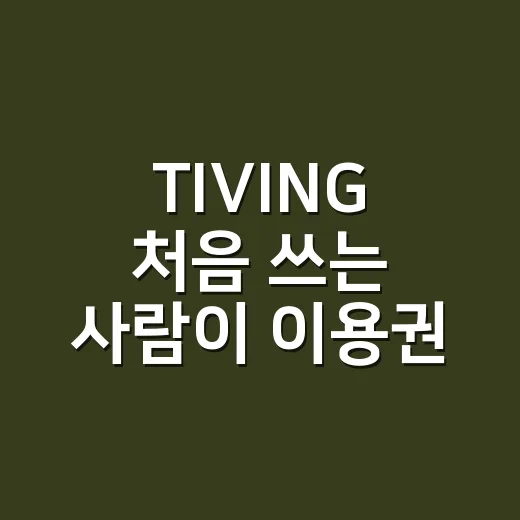 TIVING 처음 쓰는 사람이 이용권 고르는 방법 - 요약
