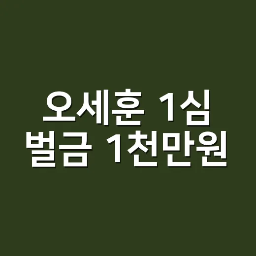오세훈 1심 벌금 1천만원, 확정되면 어떻게 되는지 이해하는 방법 - 요약