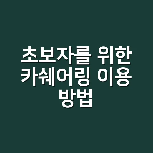 초보자를 위한 카쉐어링 이용 방법, 처음 빌릴 때 헷갈리는 것들 줄이기 - 요약