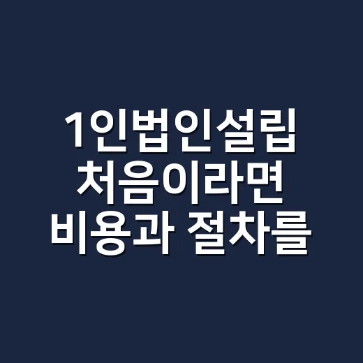 1인법인설립 처음이라면 비용과 절차를 이렇게 준비하세요 - 요약