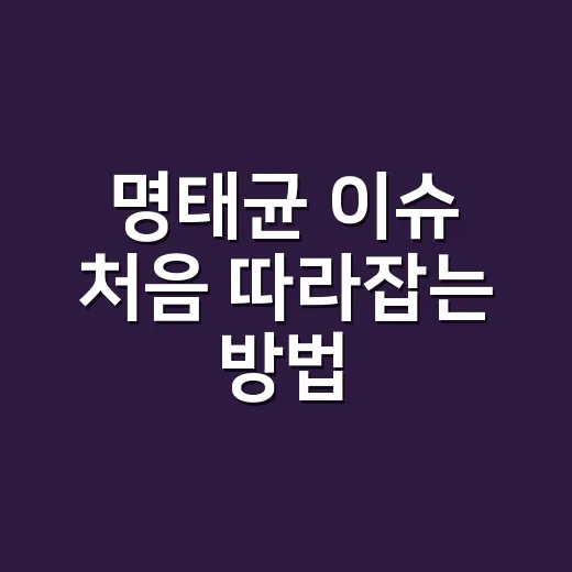 명태균 이슈 처음 따라잡는 방법: 인물, 의혹, 재판 흐름까지 - 요약